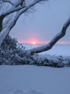 Thanksgiving&Christmas09 174