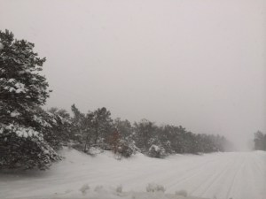 Leaving Leelanau 122213